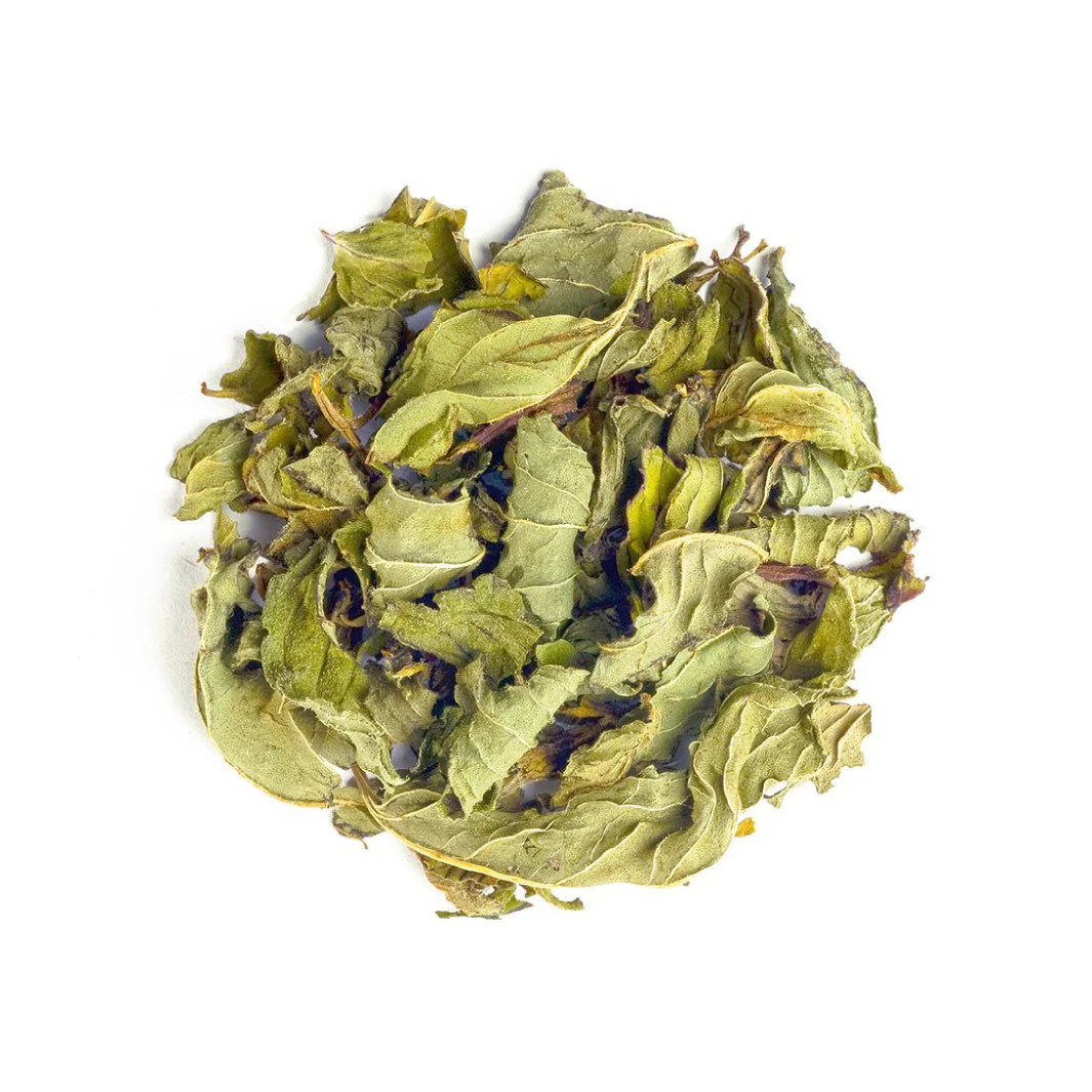 Peppermint teposer Newby - Image 3